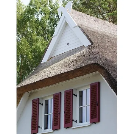 Apartamento Holiday Reet Am Duenenwald 25 Glowe